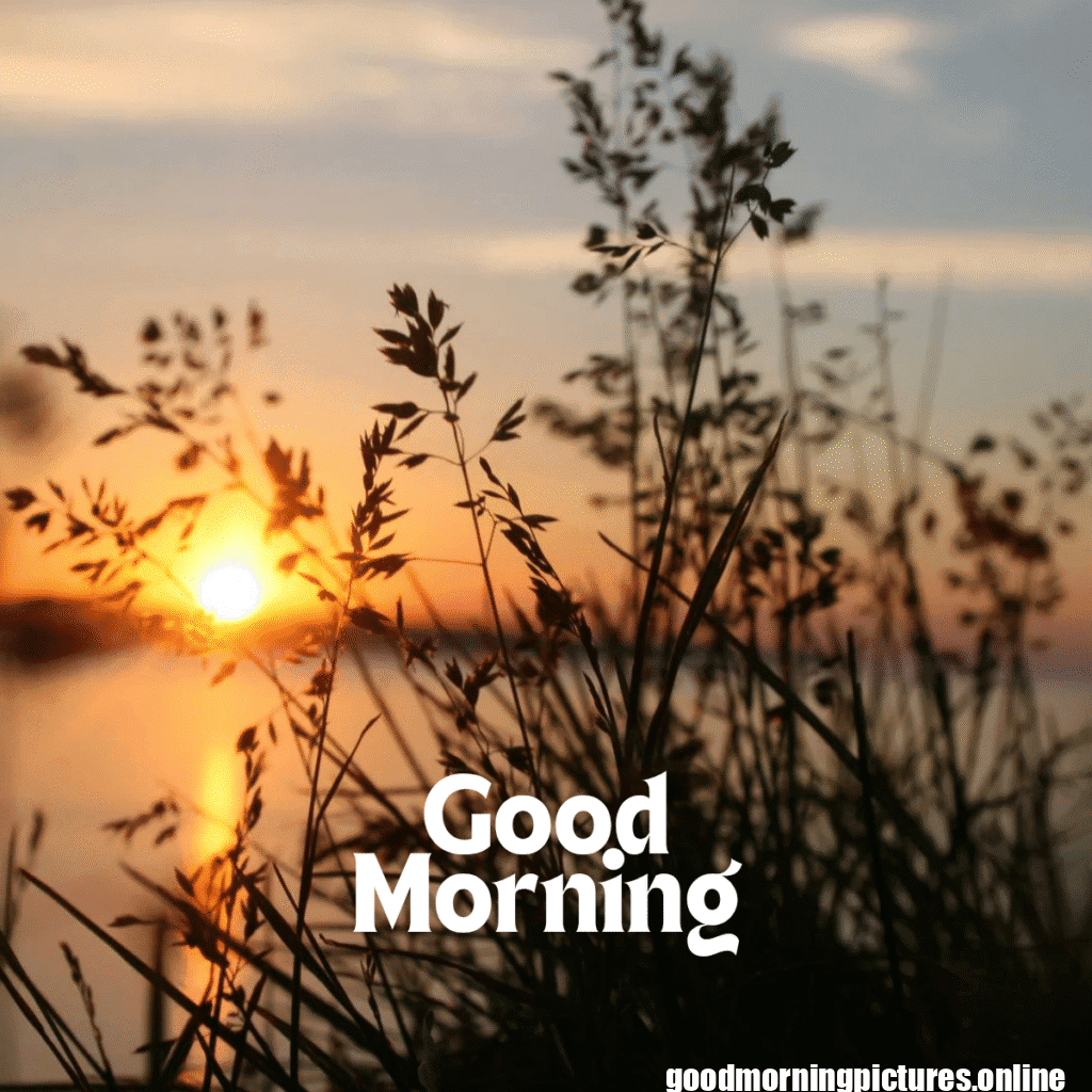 Top 35+ Sun rise good Morning images in 2025 33 Sun rise Good Morning 20250907 214617 0008 Sun rise