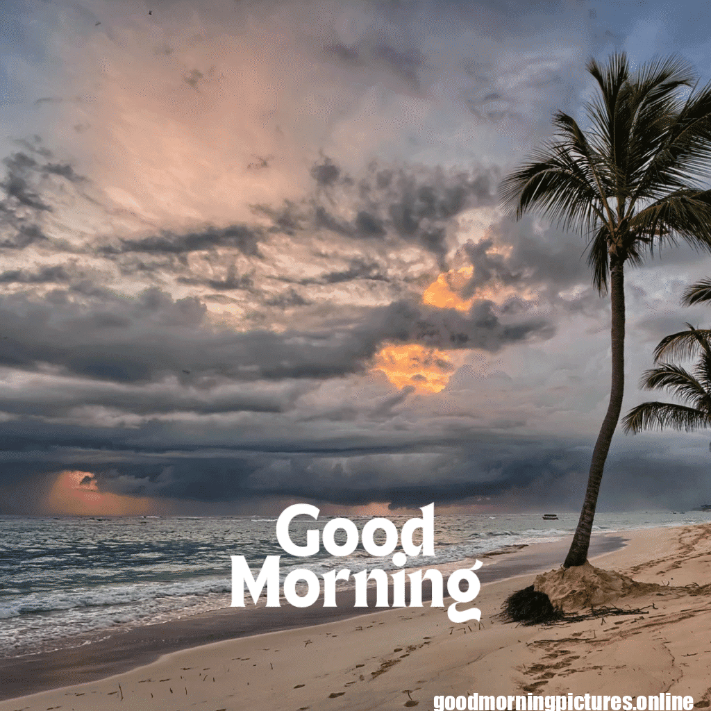 Top 35+ Sun rise good Morning images in 2025 15 Sun rise Good Morning 20250907 214617 0015 Sun rise