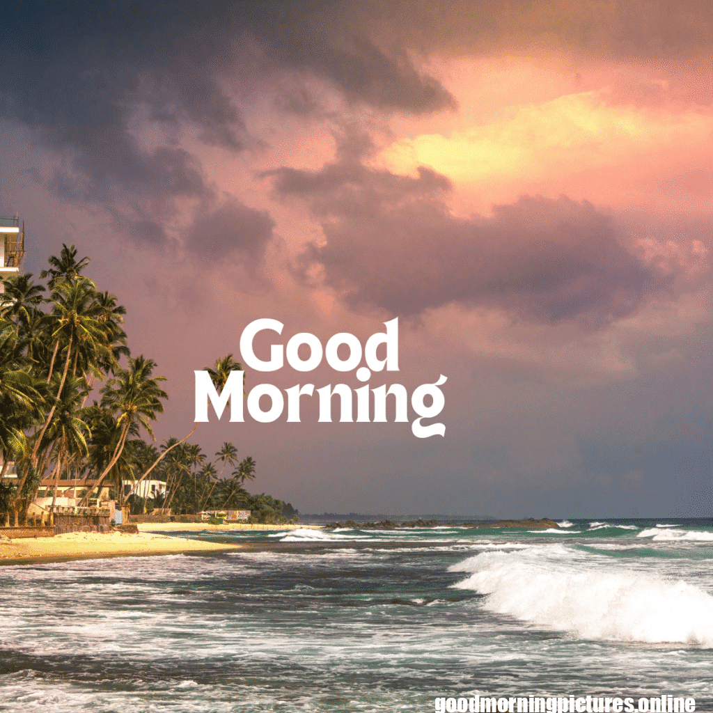 Top 35+ Sun rise good Morning images in 2025 14 Sun rise Good Morning 20250907 214617 0016 Sun rise