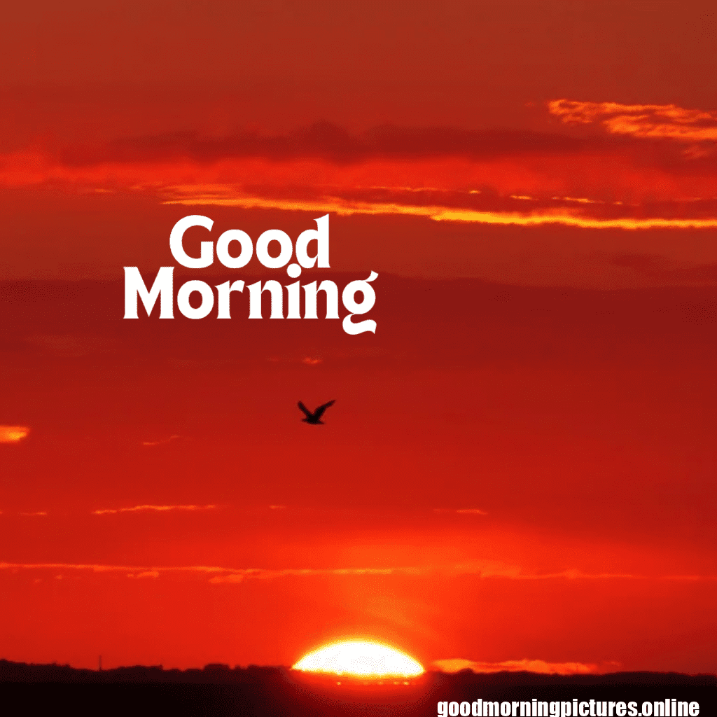 Top 35+ Sun rise good Morning images in 2025 24 Sun rise Good Morning 20250907 214617 0025 Sun rise