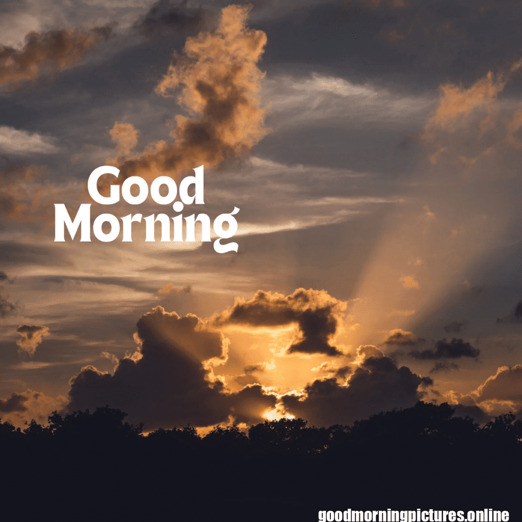 Top 35+ Sun rise good Morning images in 2025 25 Sun rise Good Morning 20250907 214617 0026 Sun rise