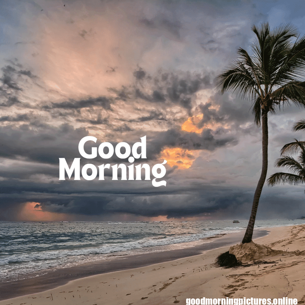 Top 35+ Sun rise good Morning images in 2025 28 Sun rise Good Morning 20250907 214617 0029 Sun rise