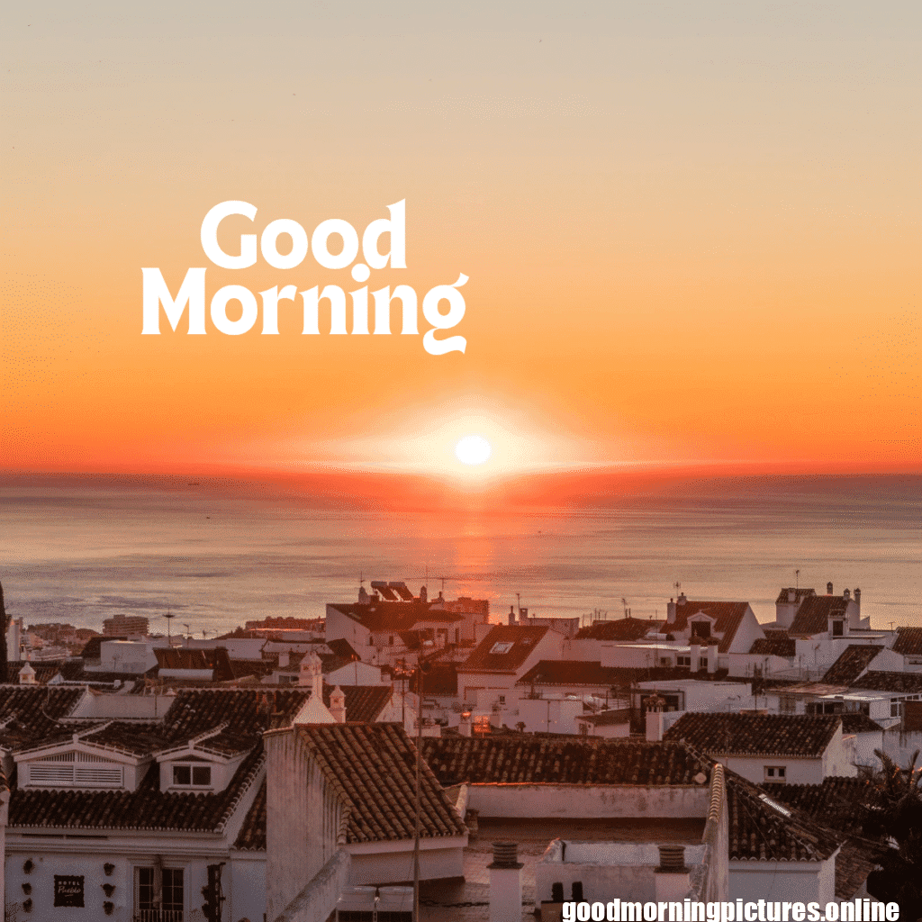 Top 35+ Sun rise good Morning images in 2025 3 Sun rise Good Morning 20250907 214618 0032 Sun rise