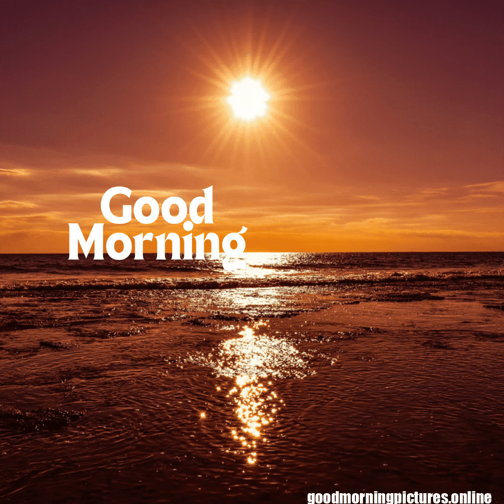 Top 35+ Sun rise good Morning images in 2025 4 Sun rise Good Morning 20250907 214618 0033 Sun rise