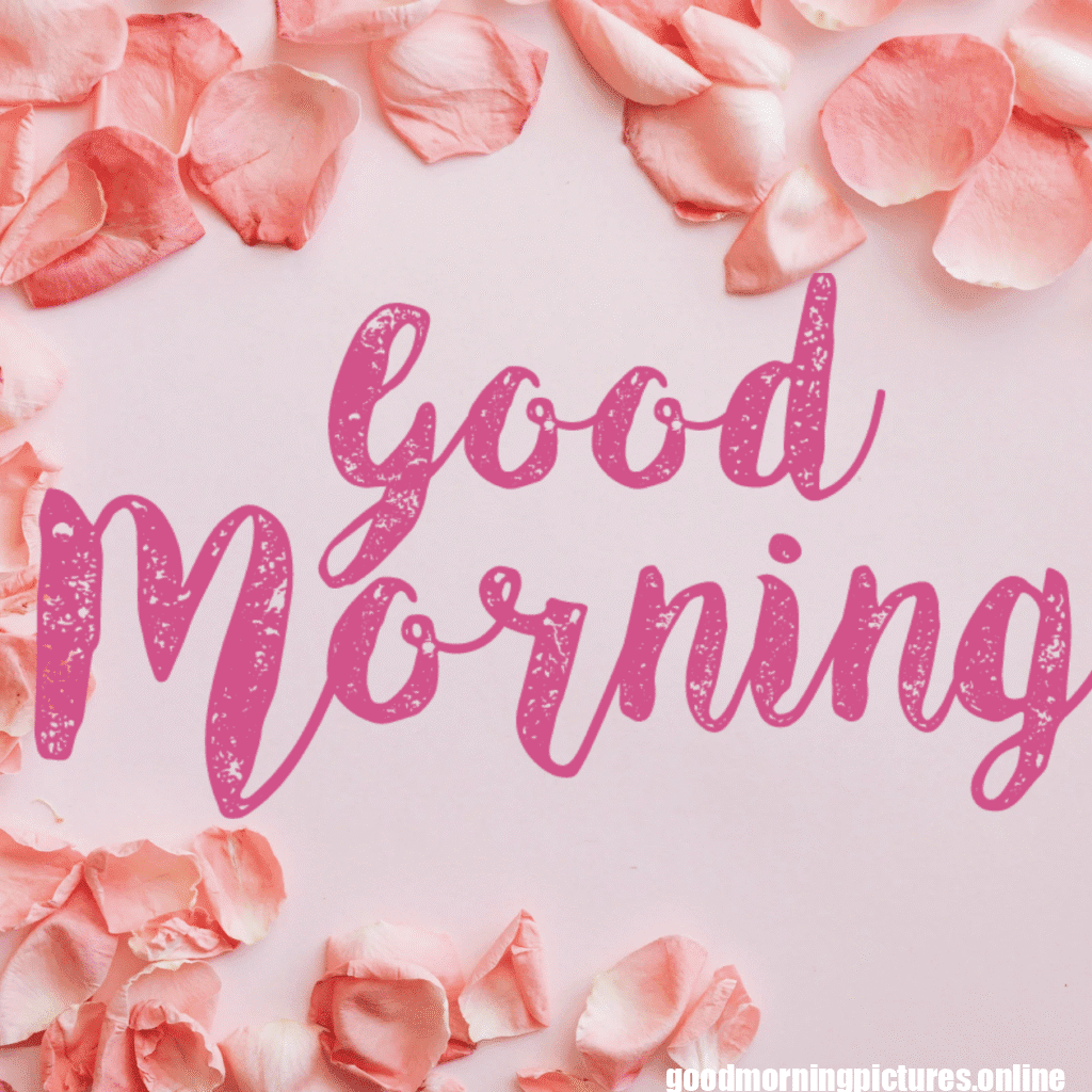 30+ romantic good morning rose Images in High Resolution 23 Romantic Good Morning Rose Images Free Download