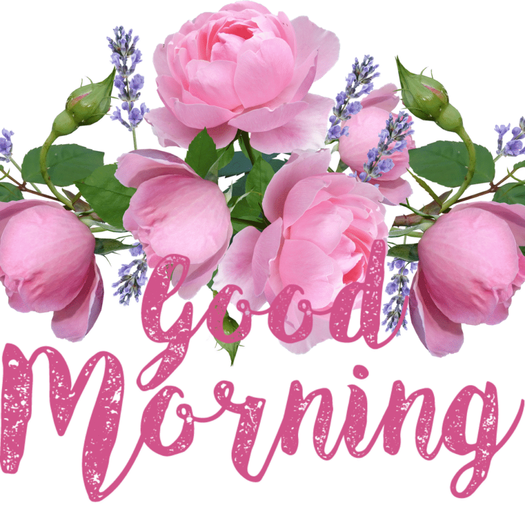 30+ romantic good morning rose Images in High Resolution 25 Romantic Good Morning Rose Images Free Download