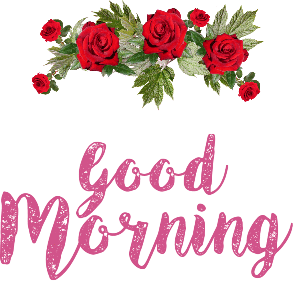 30+ romantic good morning rose Images in High Resolution 26 Romantic Good Morning Rose Images Free Download