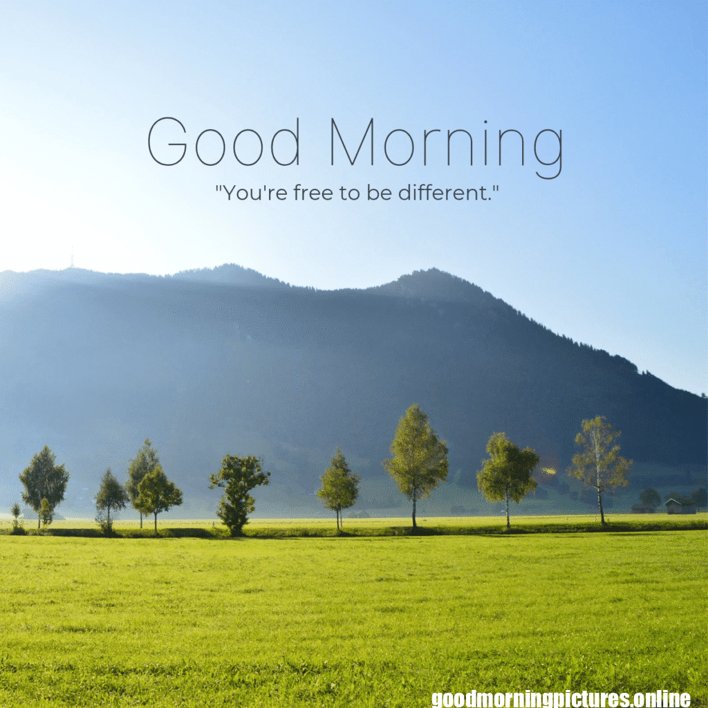 Best Good Morning Images for WhatsApp 4 Best Good Morning Images for WhatsApp