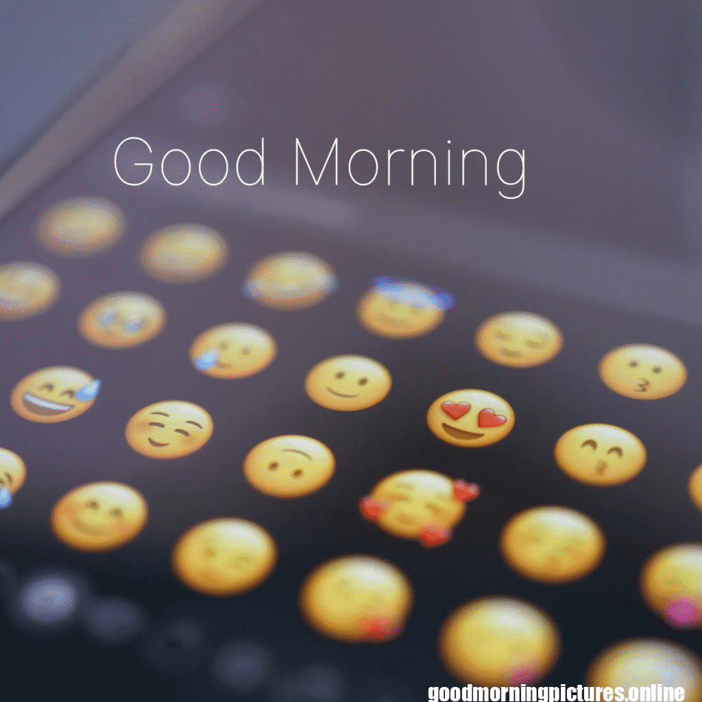 Best Good Morning Images for WhatsApp 15 Beautiful Good Morning Photos for WhatsApp