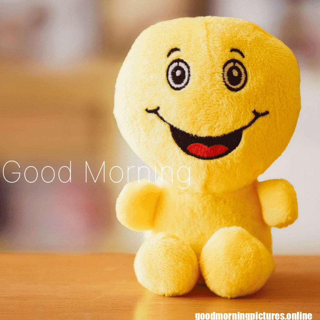 Best Good Morning Images for WhatsApp 16 Beautiful Good Morning Photos for WhatsApp