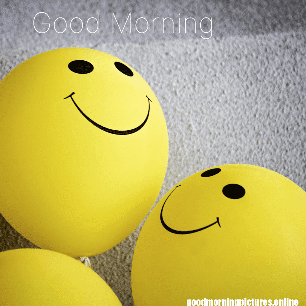 Best Good Morning Images for WhatsApp 17 Beautiful Good Morning Photos for WhatsApp