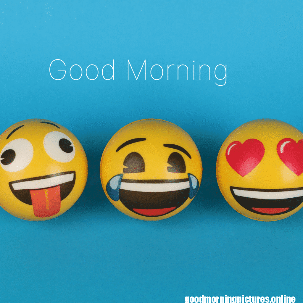 Best Good Morning Images for WhatsApp 28 Cute Good Morning Wallpapers for WhatsApp