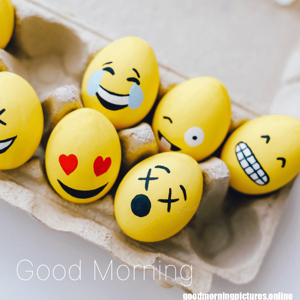 Best Good Morning Images for WhatsApp 29 Cute Good Morning Wallpapers for WhatsApp