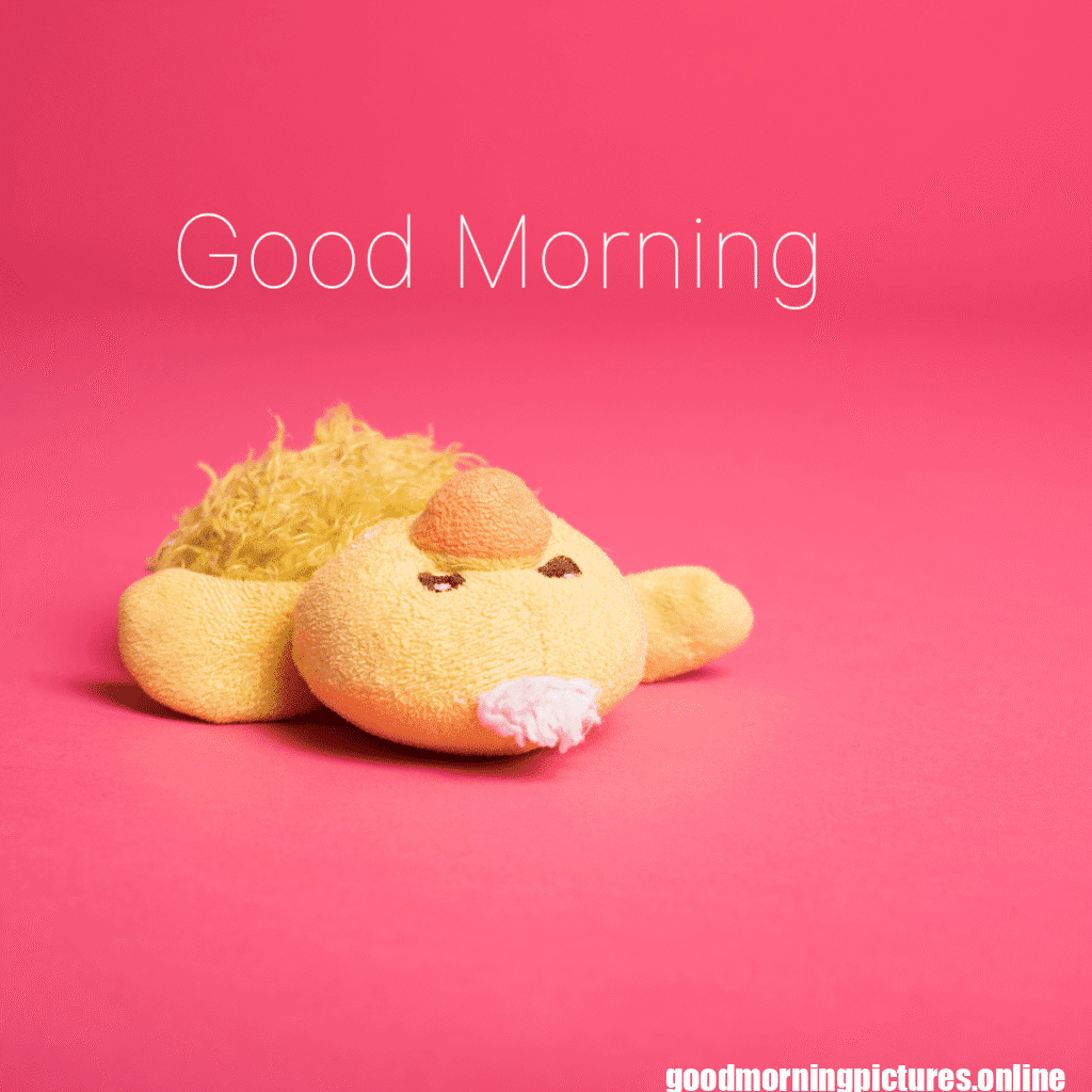 Best Good Morning Images for WhatsApp 2 Best Good Morning Images for WhatsApp