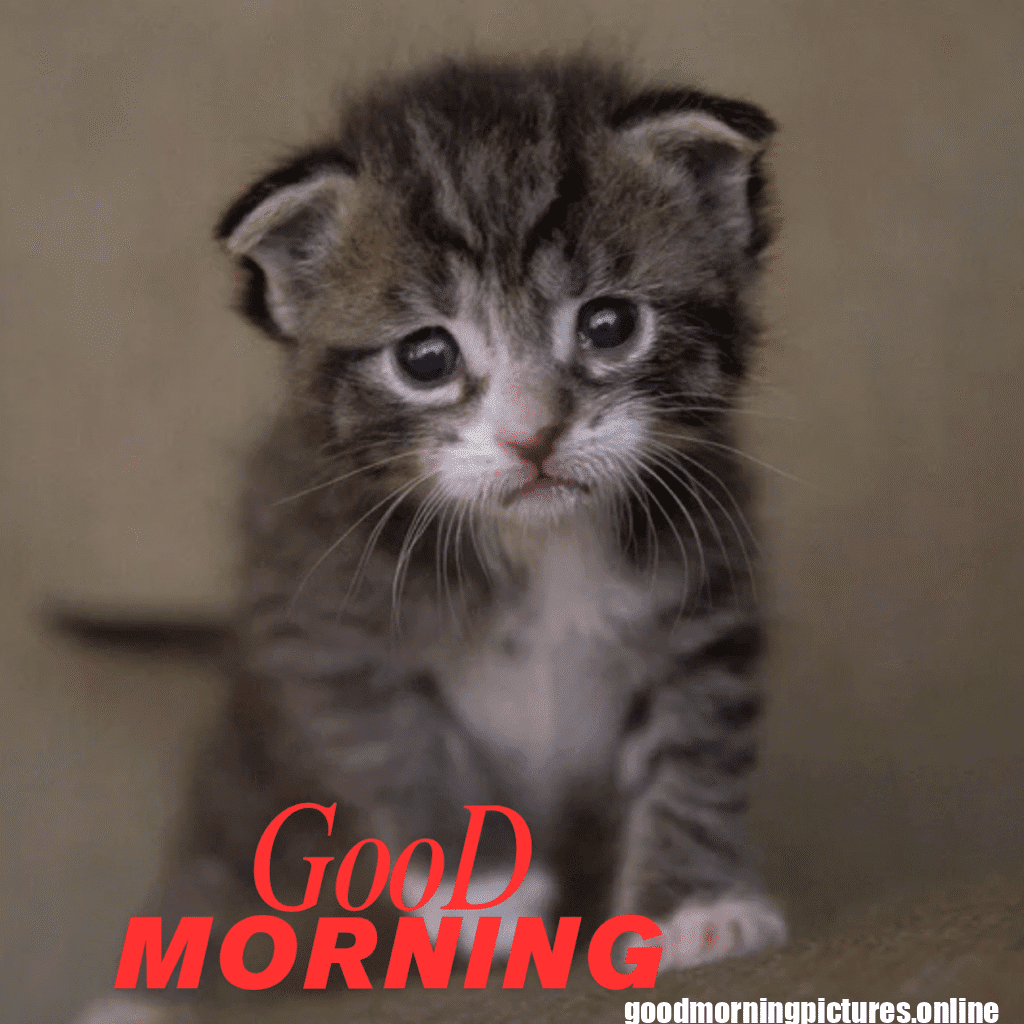 SYNC 20250907 132938 0021