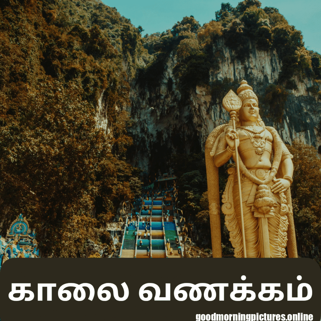 30+ Murugan good morning Images 14 Lord Murugan Blessing Good Morning Images