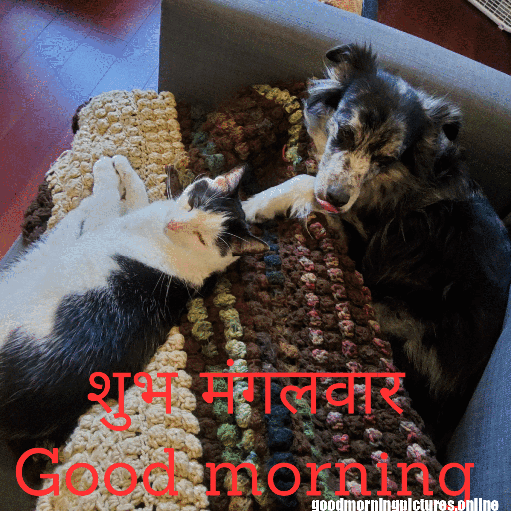 शुभ मंगलवार Good morning_