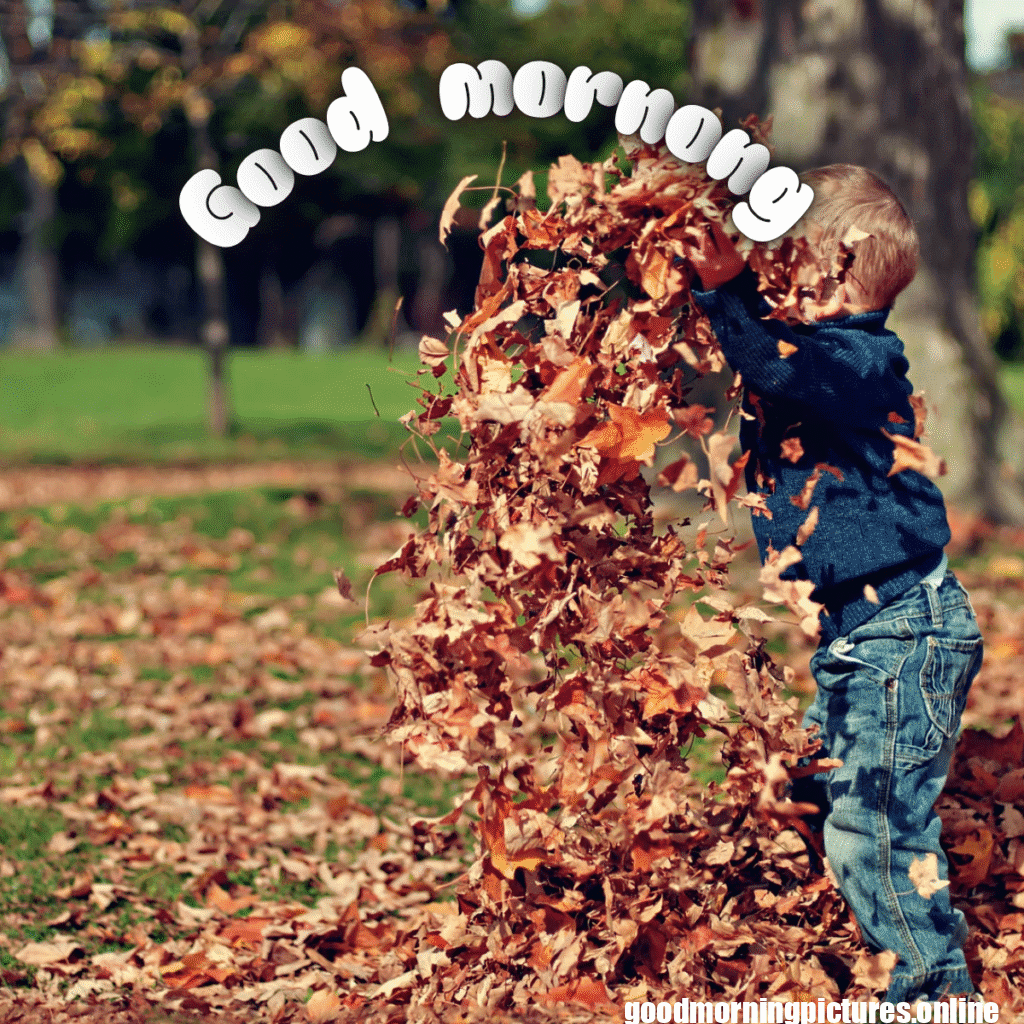 40+ Cute Boy good morning images latest in HD quality 16 Stylish Boy Good Morning Images