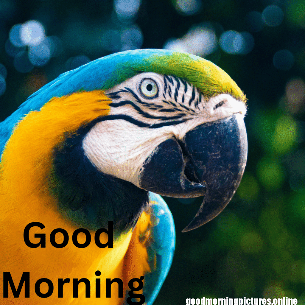 Beautiful Animals Good Morning Images in 2025 27 Good Morning 20251009 215516 0007