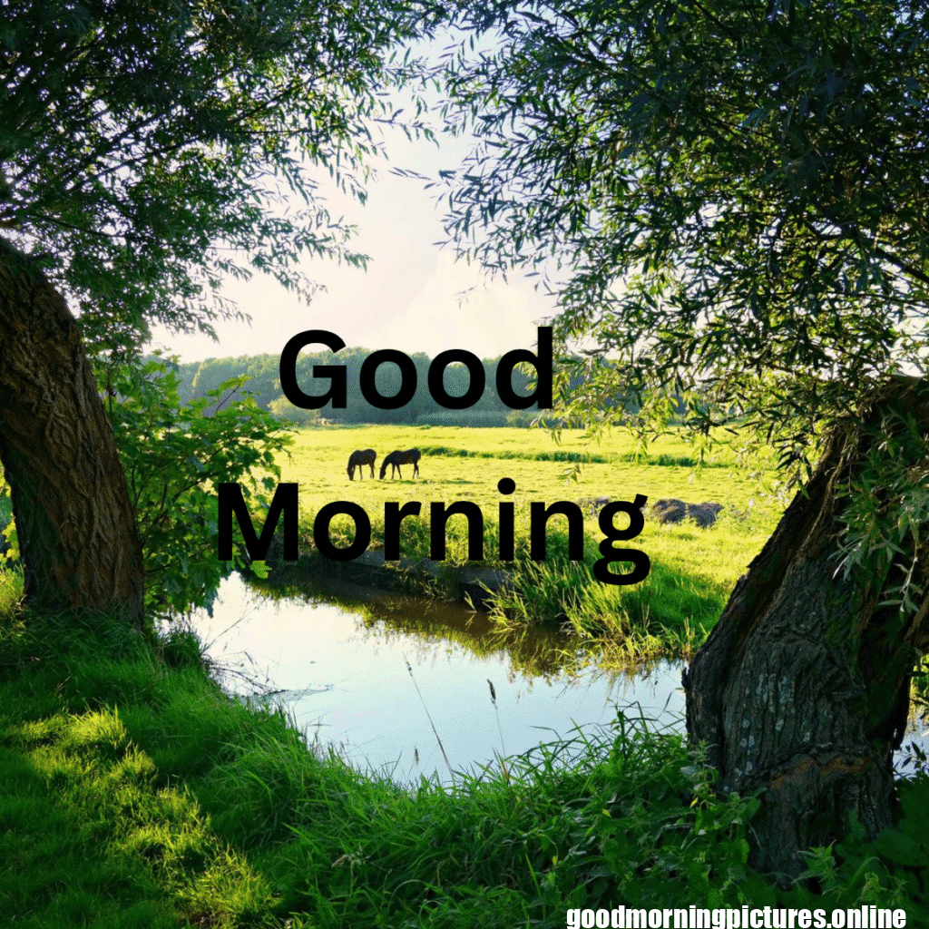 Beautiful Animals Good Morning Images in 2025 2 Cute Animal Good Morning Pictures