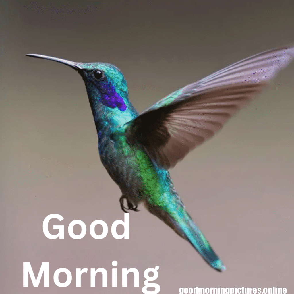 Beautiful Animals Good Morning Images in 2025 8 Cute Animal Good Morning Pictures