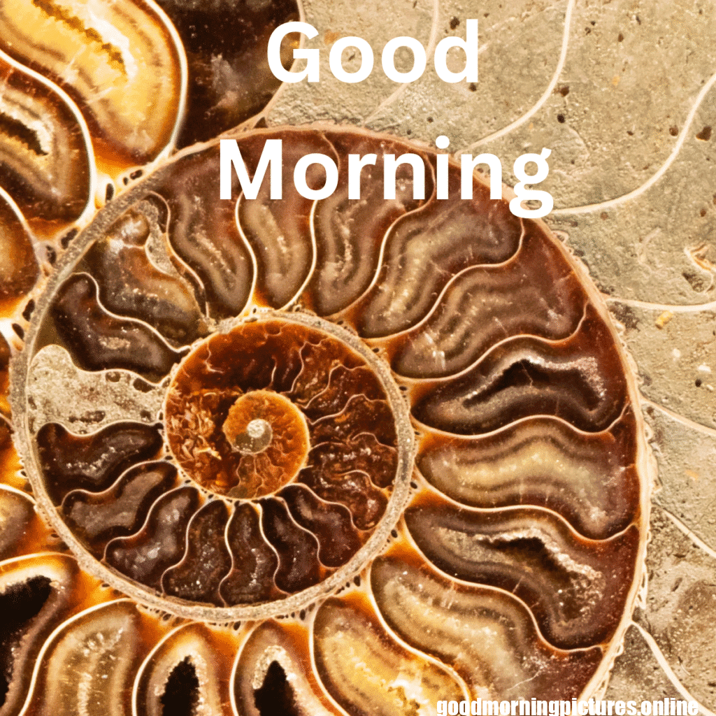 Beautiful Animals Good Morning Images in 2025 9 Cute Animal Good Morning Pictures