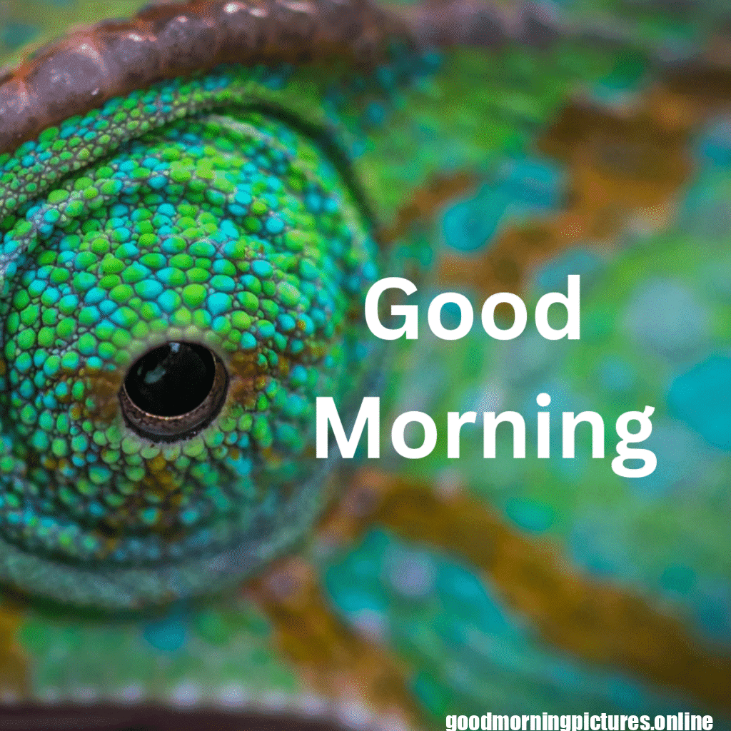 Beautiful Animals Good Morning Images in 2025 11 Cute Animal Good Morning Pictures