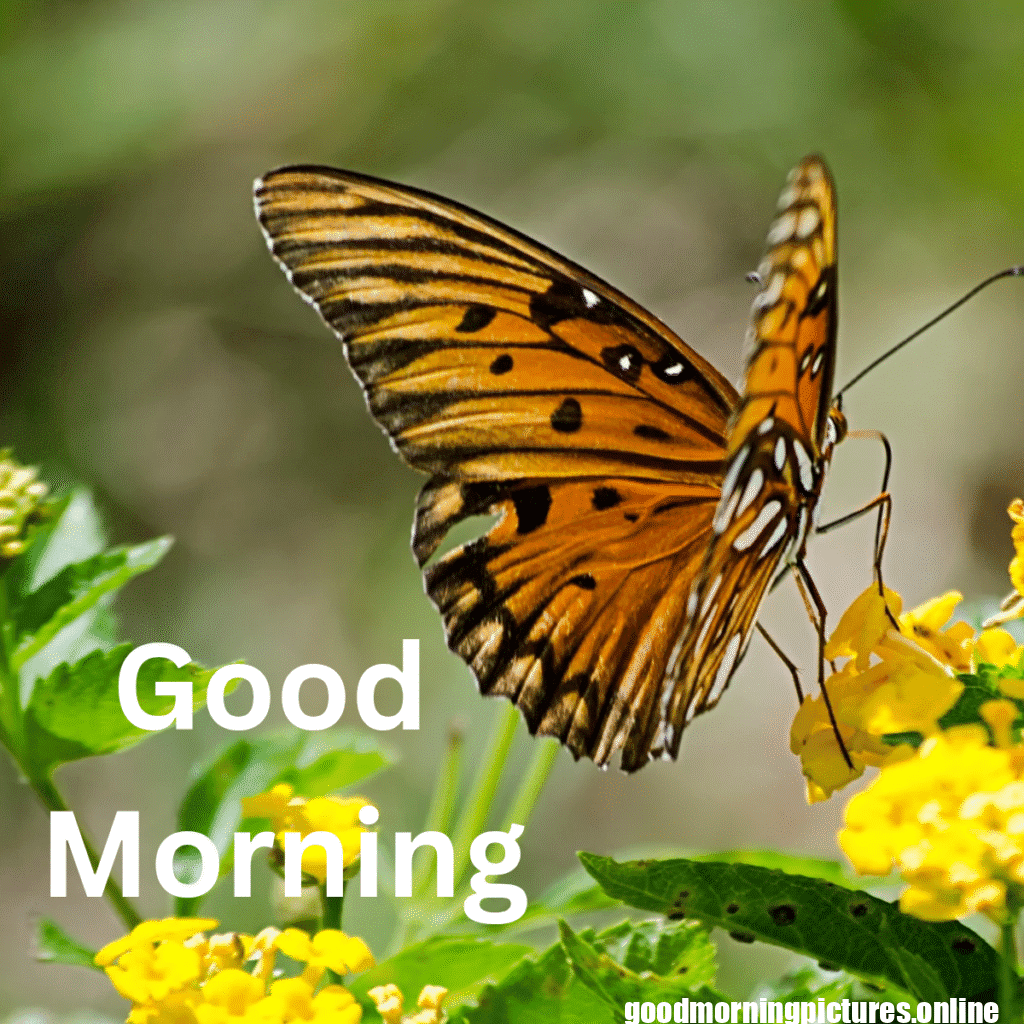 Beautiful Animals Good Morning Images in 2025 18 Wild Animal Good Morning Images