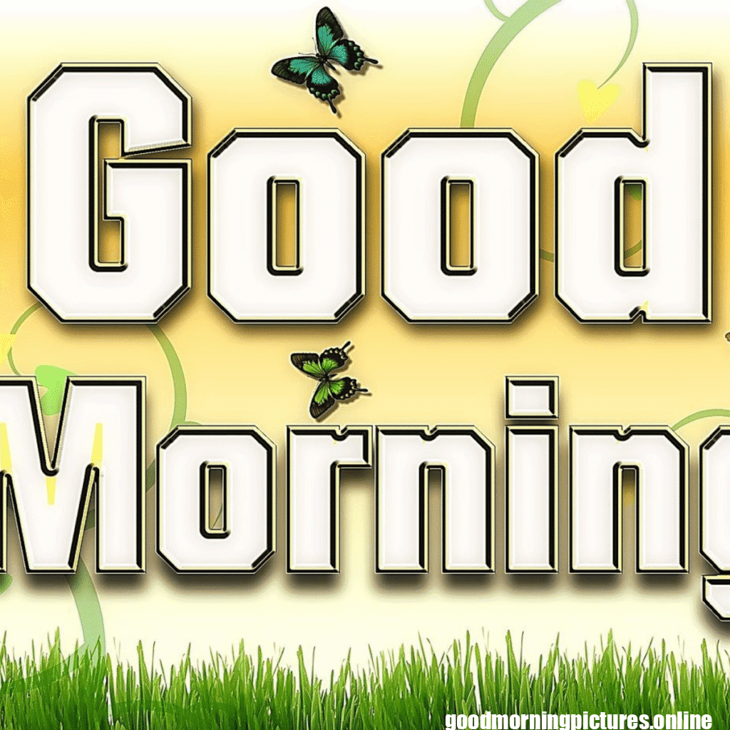 30+ Good morning 4k hd images 15 best good morning images