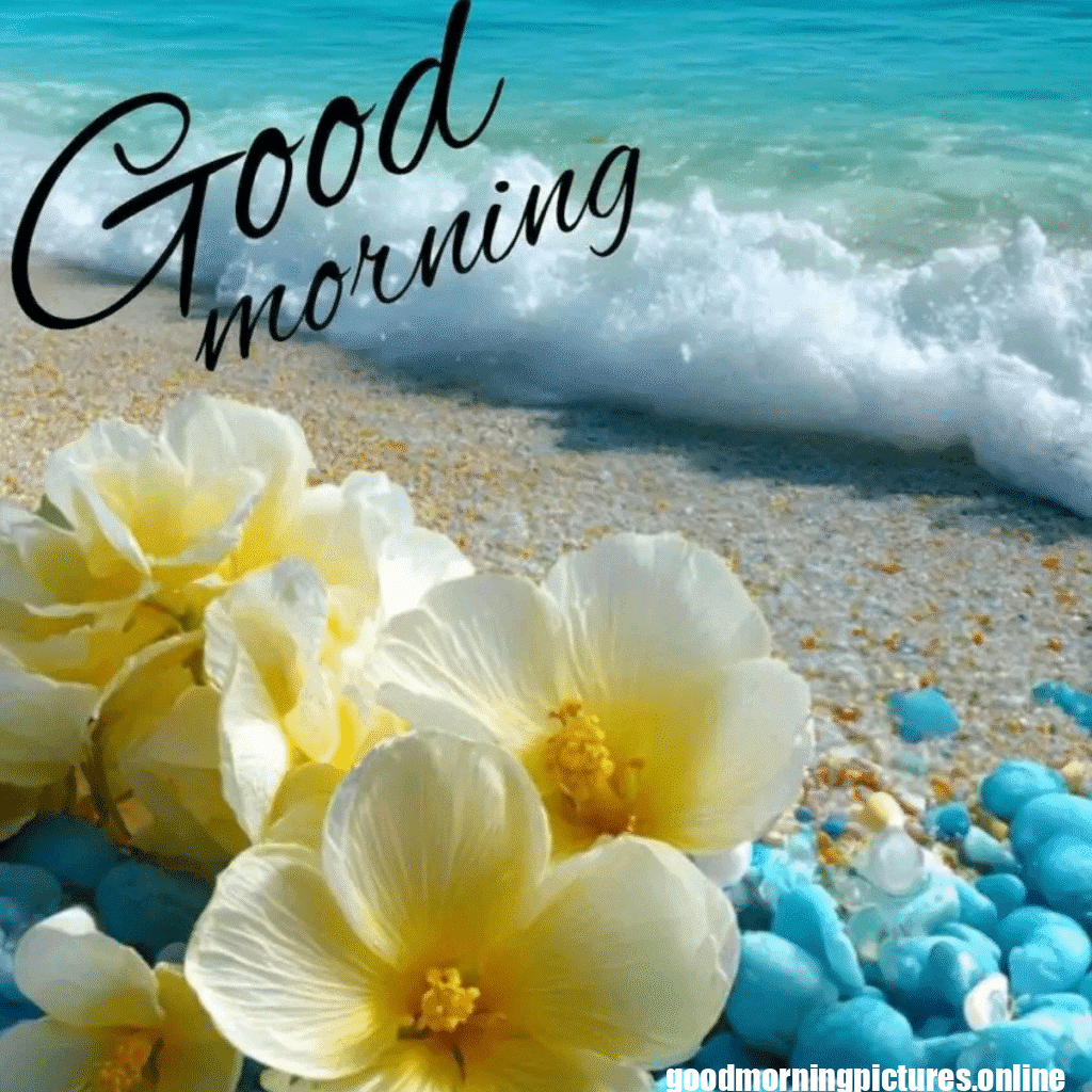 30+ Good morning 4k hd images 7 good morning images