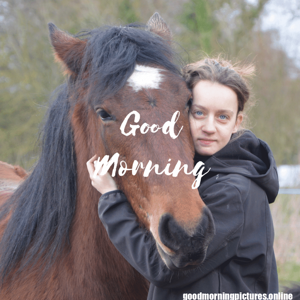 30+ Hugging Good Morning Images for satisfaction in life 5 Hugging Good Morning Images for satisfaction in life