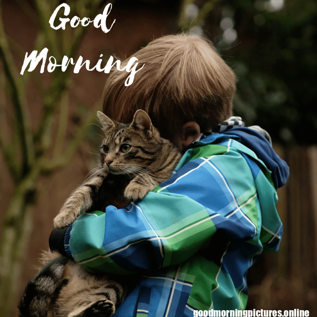 30+ Hugging Good Morning Images for satisfaction in life 8 Hugging Good Morning Images for satisfaction in life