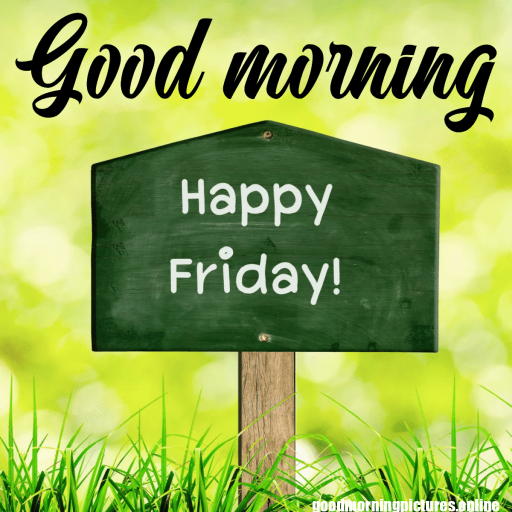 Good Morning Friday Images for better feeling 13 Good morning Friday images 20251110 225745 0018