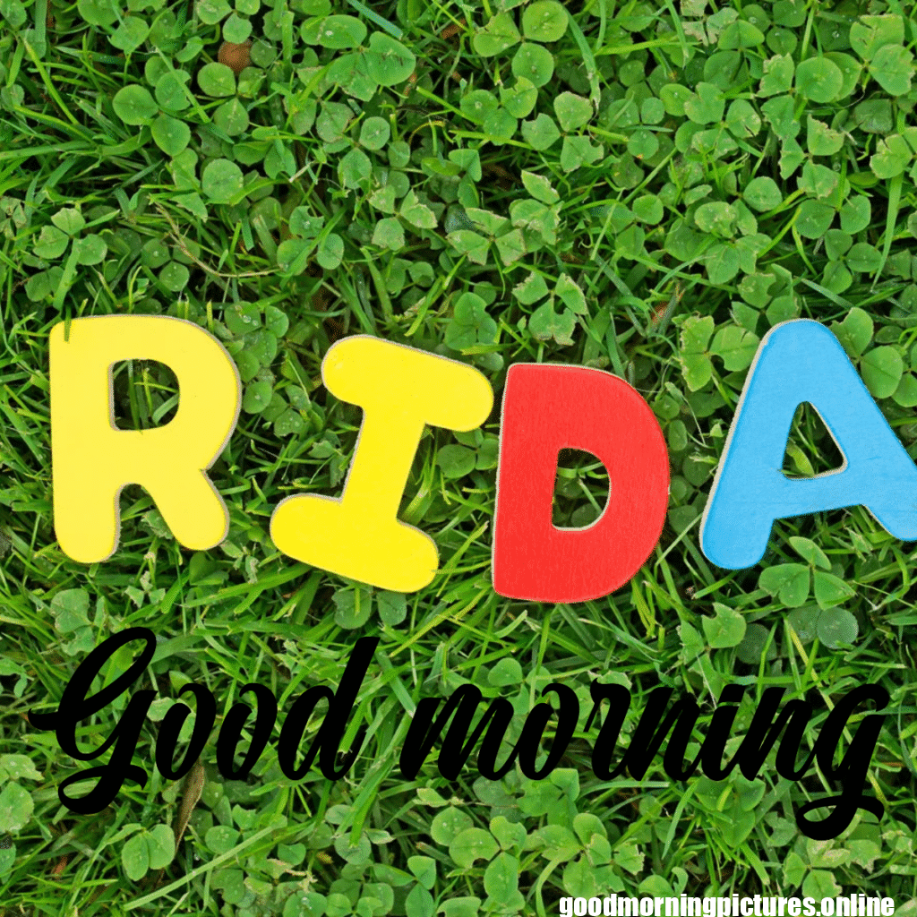 Good Morning Friday Images for better feeling 30 Good morning Friday images 20251110 225900 0016