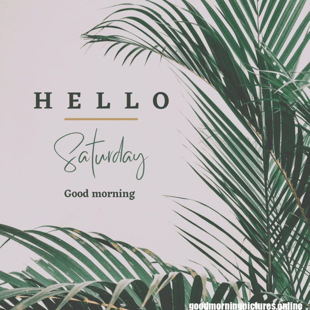 Good Morning Saturday Images for weekend Enjoy 12 Saturday 20251109 120514 0013